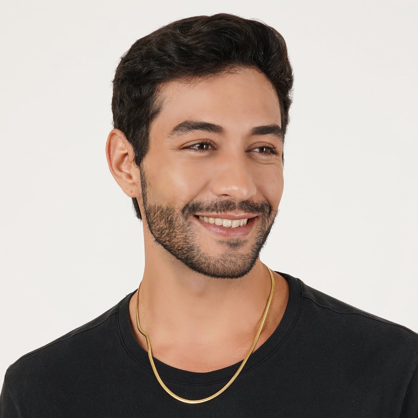 Gold Snake Neck Chain