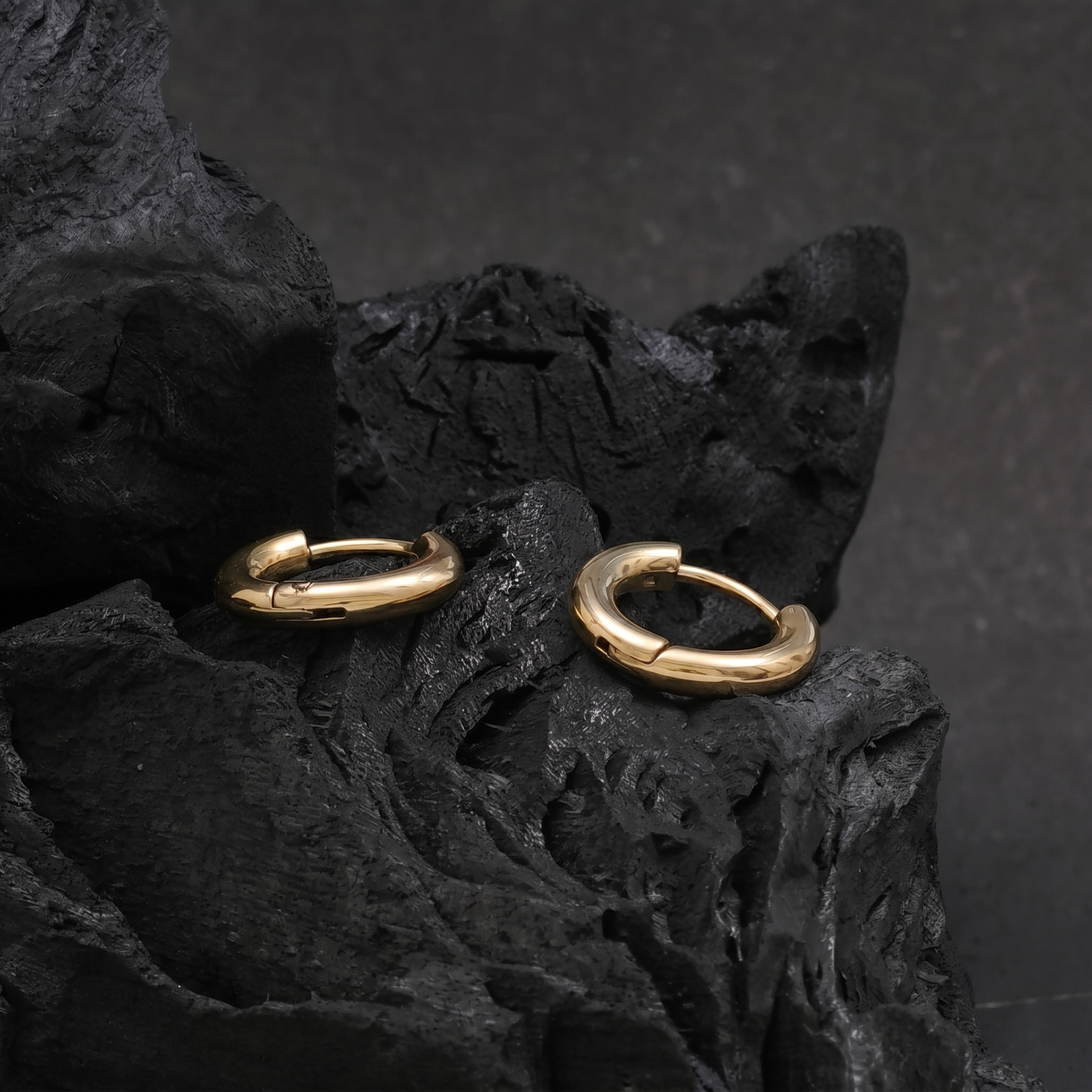 Circular Pierced Hoop Earrings
